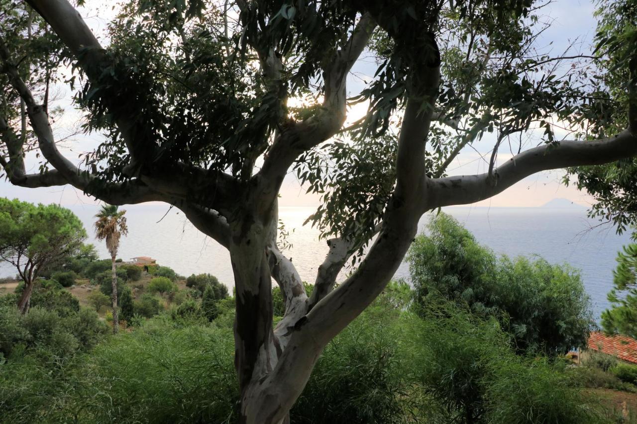 Case Di Berto Capo Vaticano Exteriér fotografie